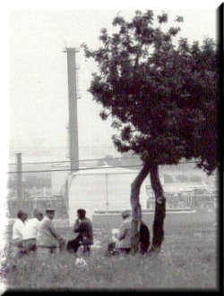 El Club del Algarrobo, lugar de reunin habitual de los jubilados del barrio. (Foto Oliv-Abell)